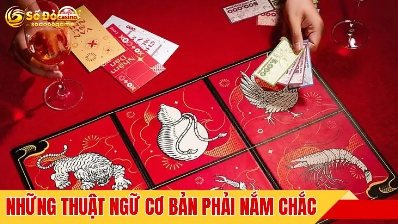 Những thuật ngữ cơ bản phải nắm chắc