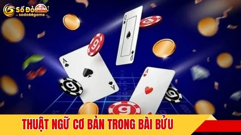 Thuật ngữ cơ bản trong bài bửu