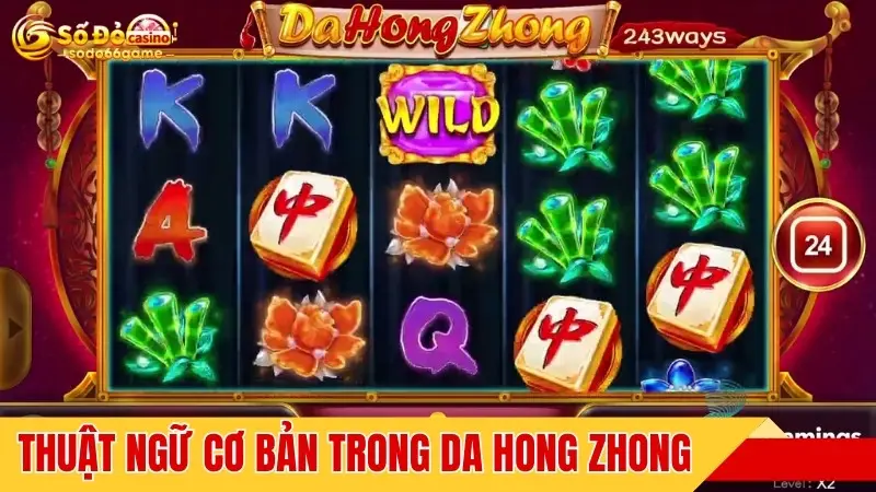 Thuật ngữ cơ bản cần nắm chắc trong Da Hong Zhong